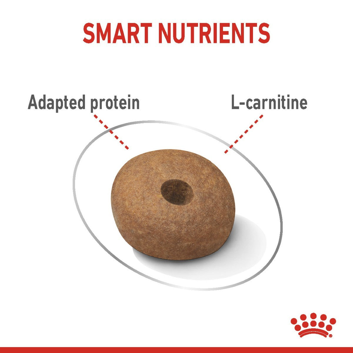 Royal Canin Medium Light Weight Care Dry Dog Food - Targa Pet Shop