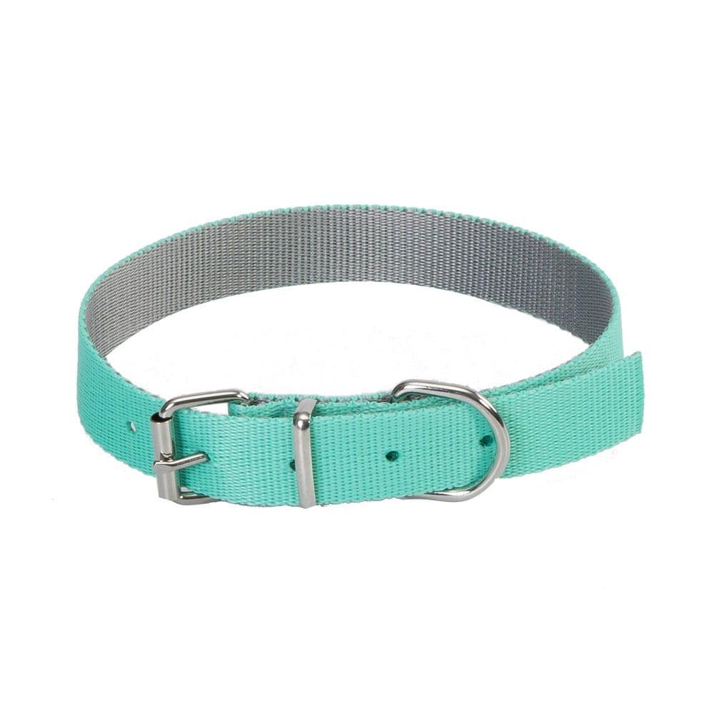 Dingo Energy Silver Collar - Targa Pet Shop