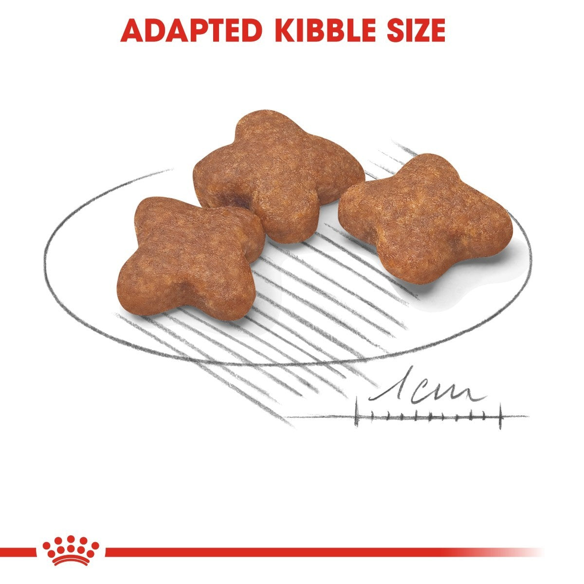 Royal Canin Mini Adult 8+ Dry Dog Food - Targa Pet Shop