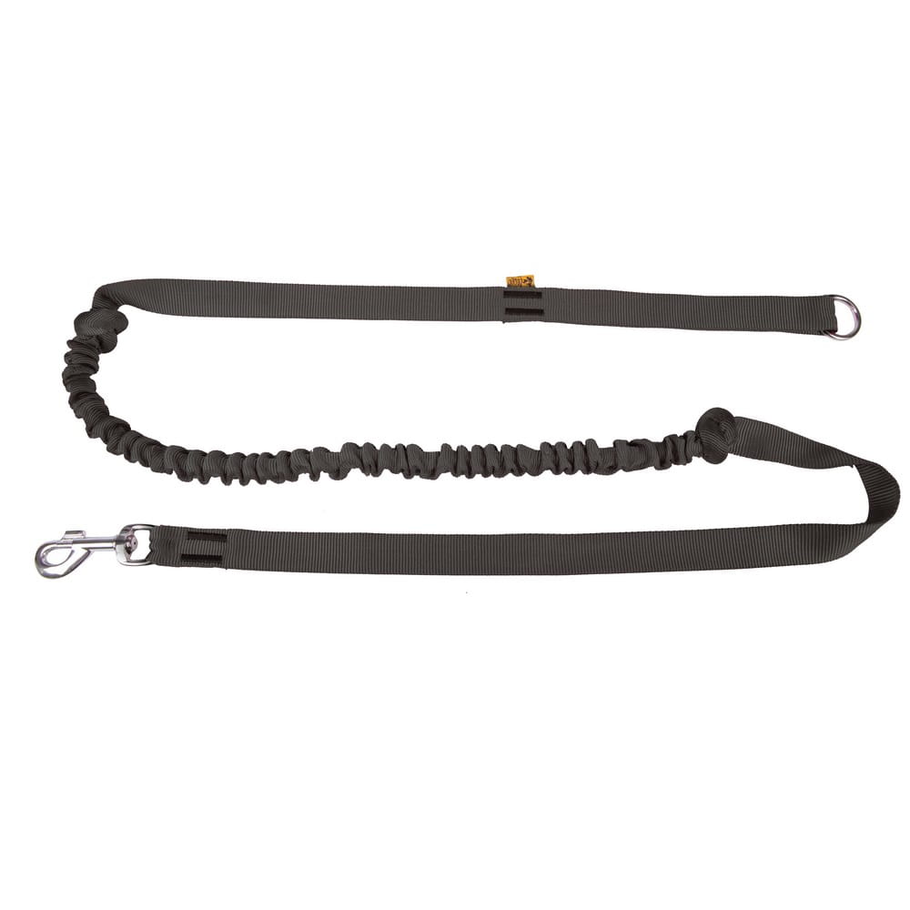Dingo Bungee Leash