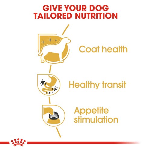 Royal Canin Chihuahua Wet