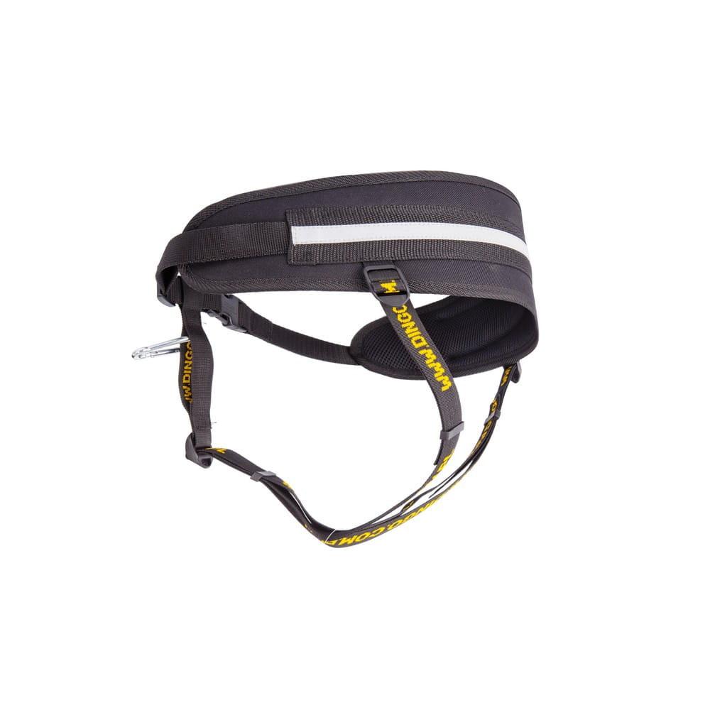 Dingo Cani Cross Running Belt.