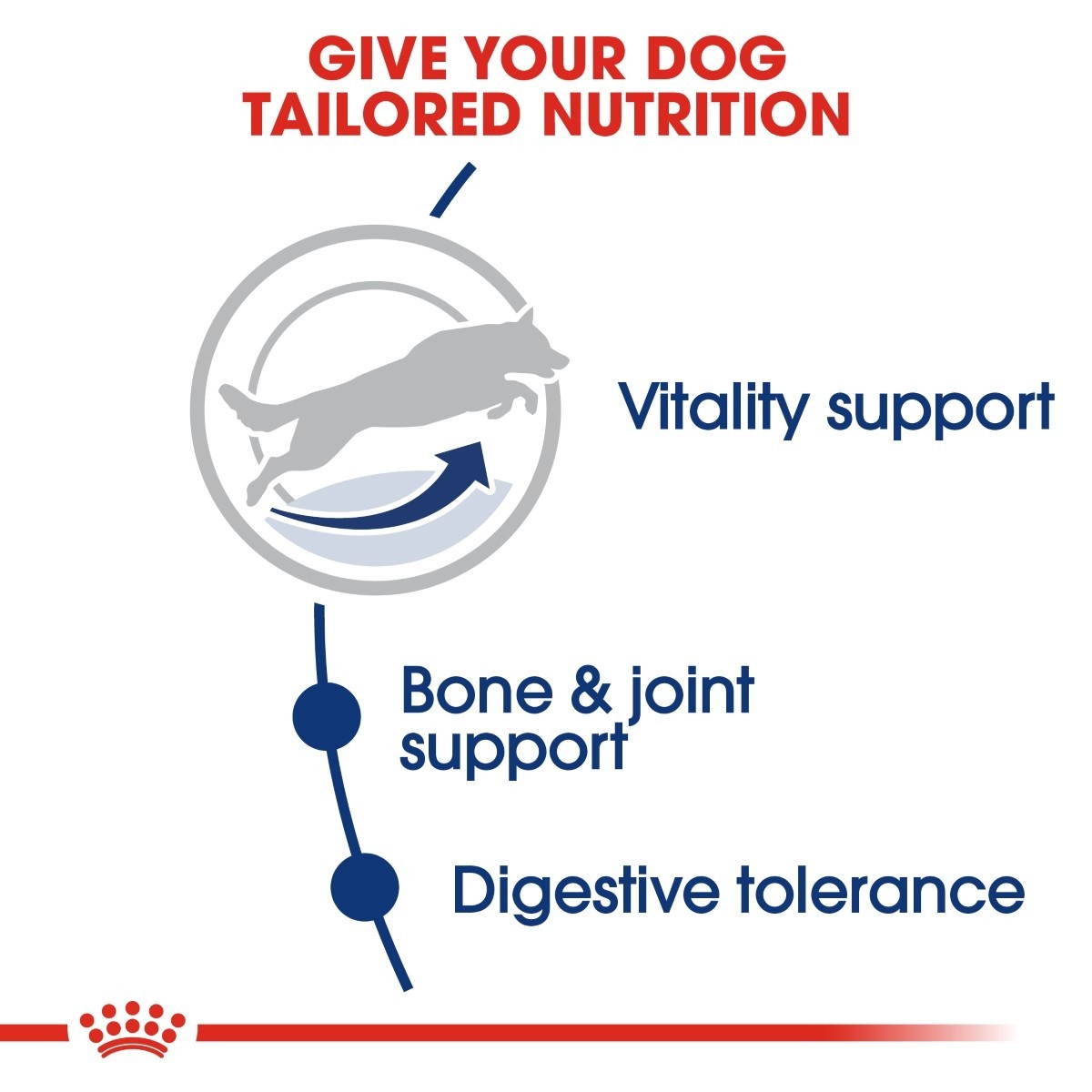 Royal Canin Maxi Adult 5+ Dry Food for Dogs - Targa Pet Shop