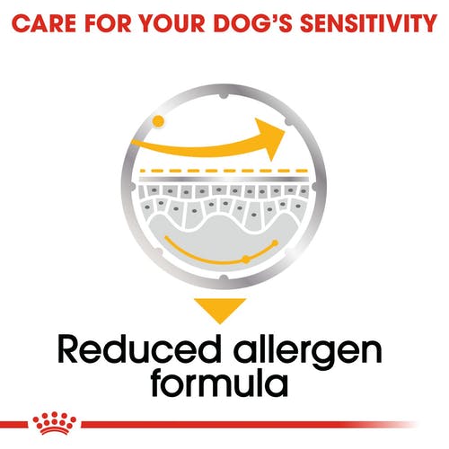 Royal Canin Dermacomfort Care Wet