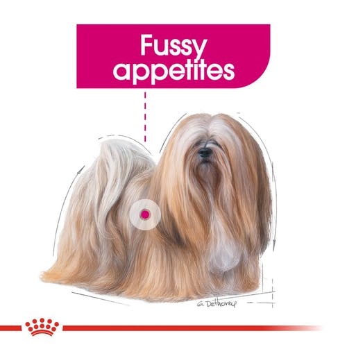 Royal Canin Exigent Wet Food