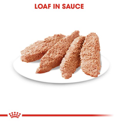 Royal Canin Urinary Care Wet