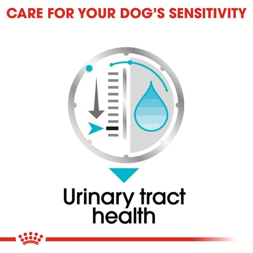 Royal Canin Urinary Care Wet