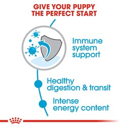 Royal Canin X-Small Puppy - Targa Pet Shop