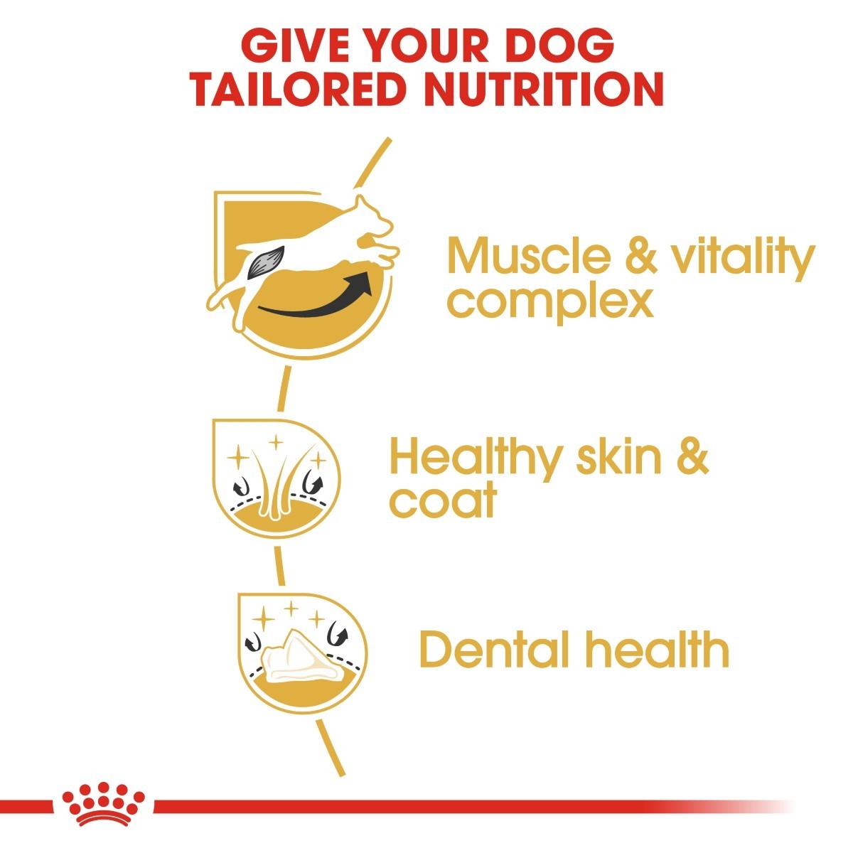 Royal Canin Jack Russell Dry Adult Dog Food - Targa Pet Shop