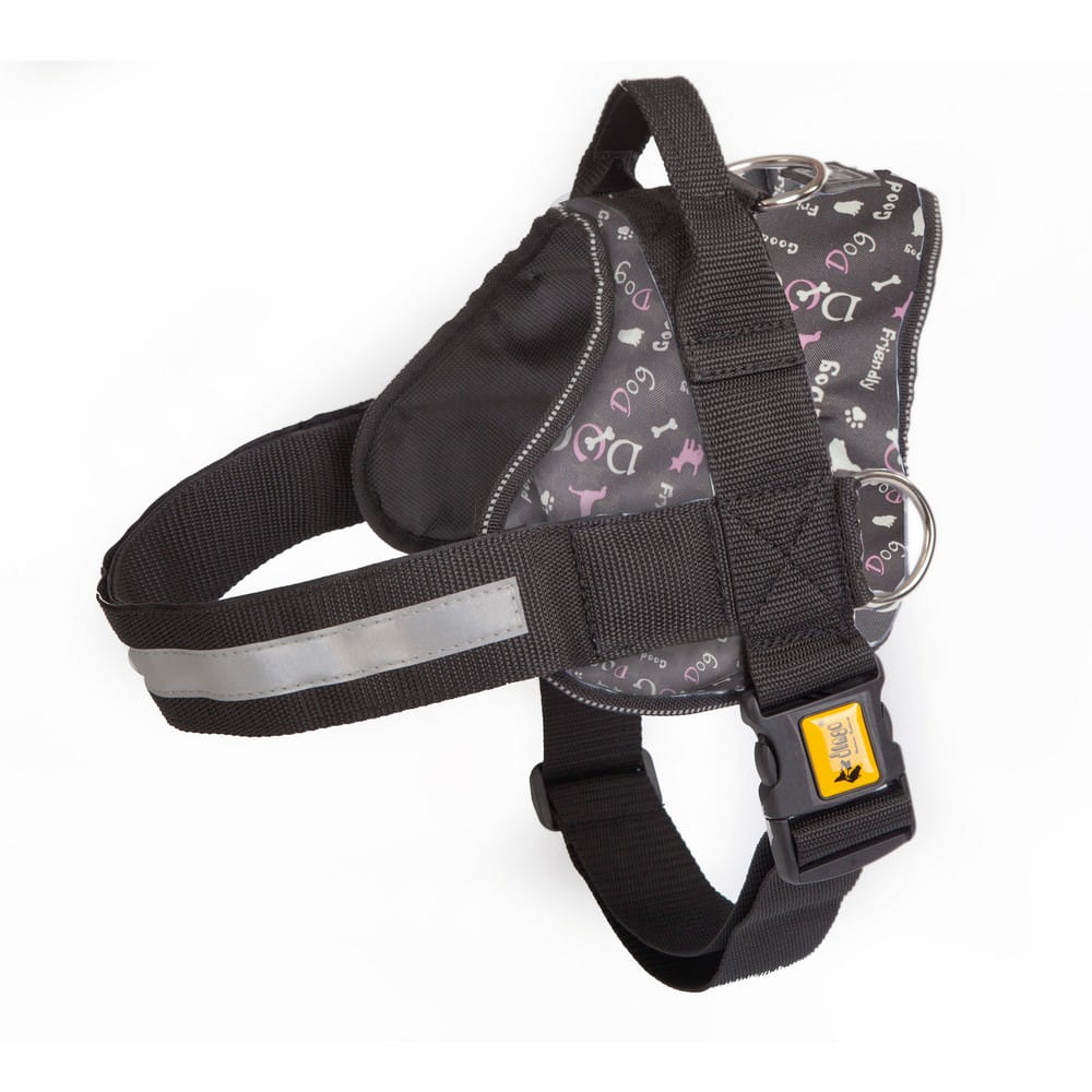 Dingo Colourful America Strong Harness - Targa Pet Shop