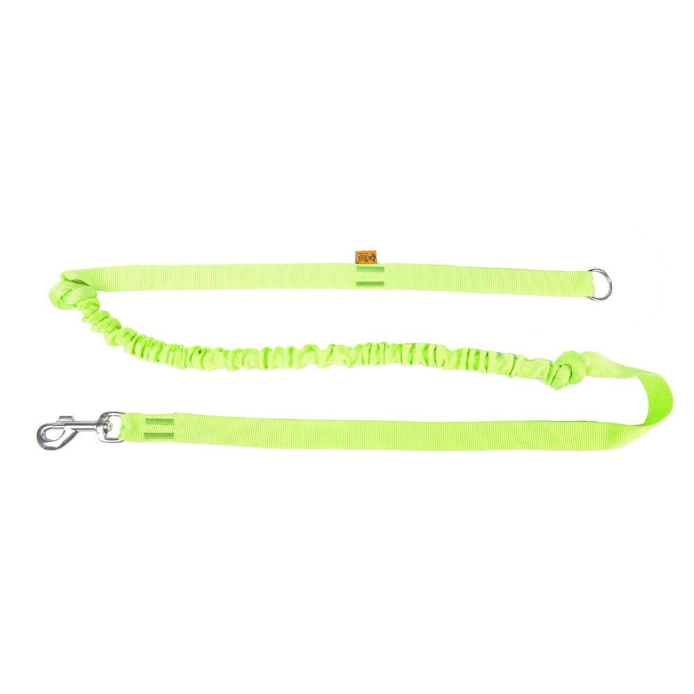 Dingo Bungee Leash