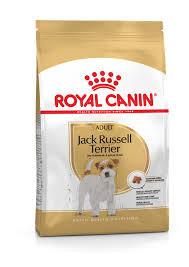 Royal Canin Jack Russell Dry Adult Dog Food - Targa Pet Shop