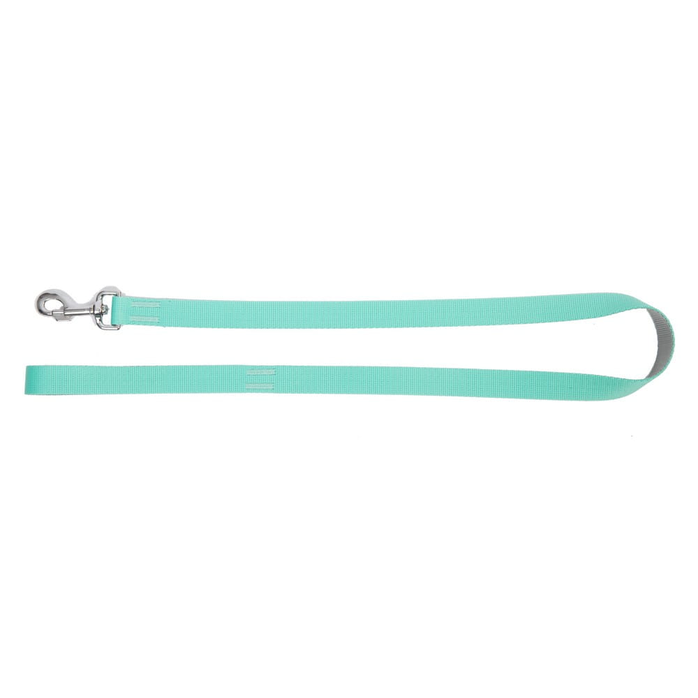 Dingo Energy Silver Leash - Targa Pet Shop
