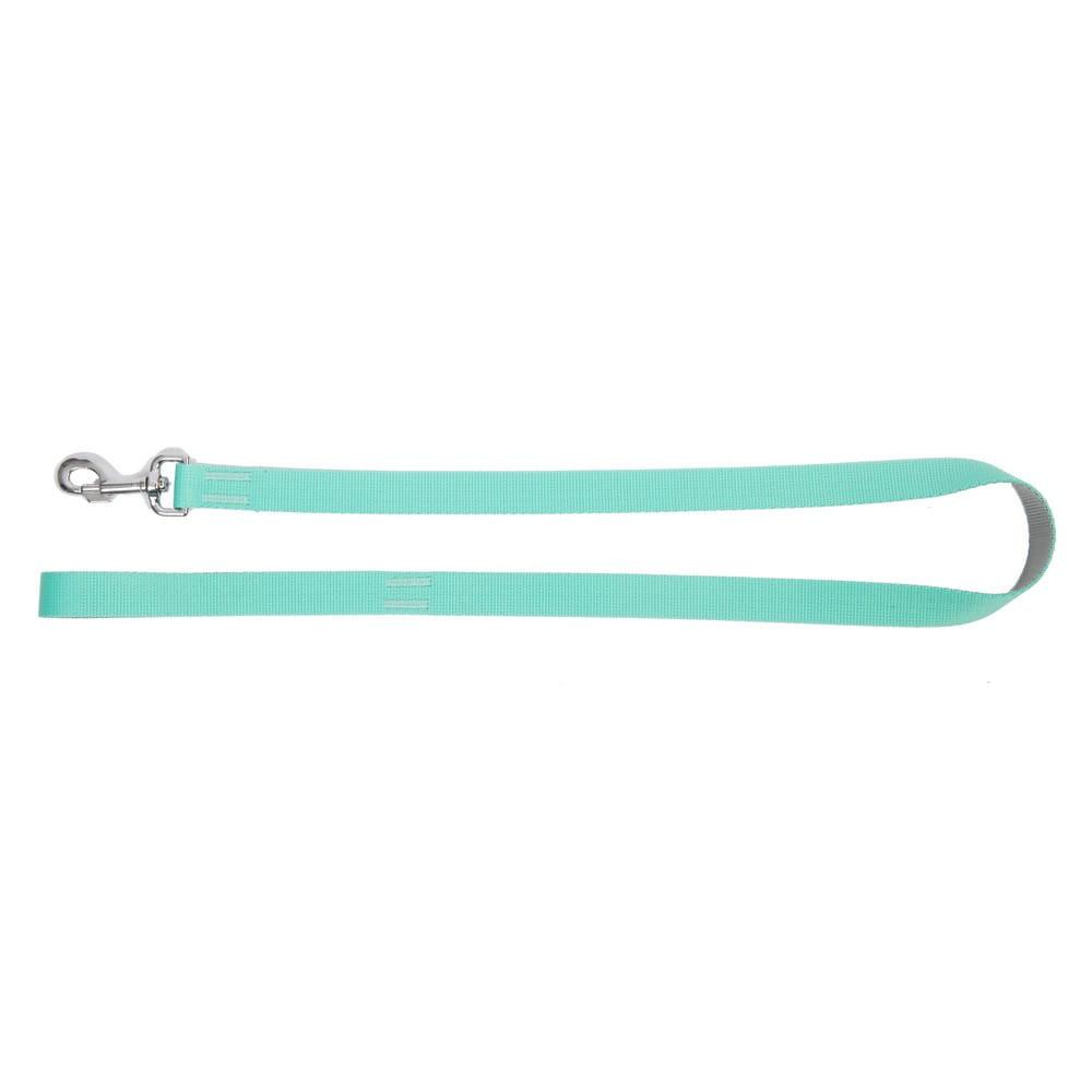Dingo Energy Silver Leash - Targa Pet Shop