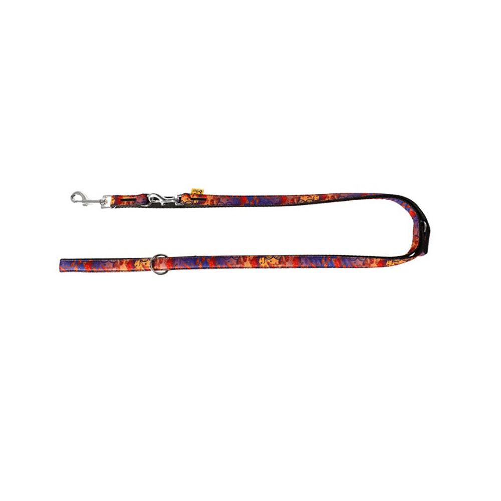 Dog America Colourful Leash Indiana.