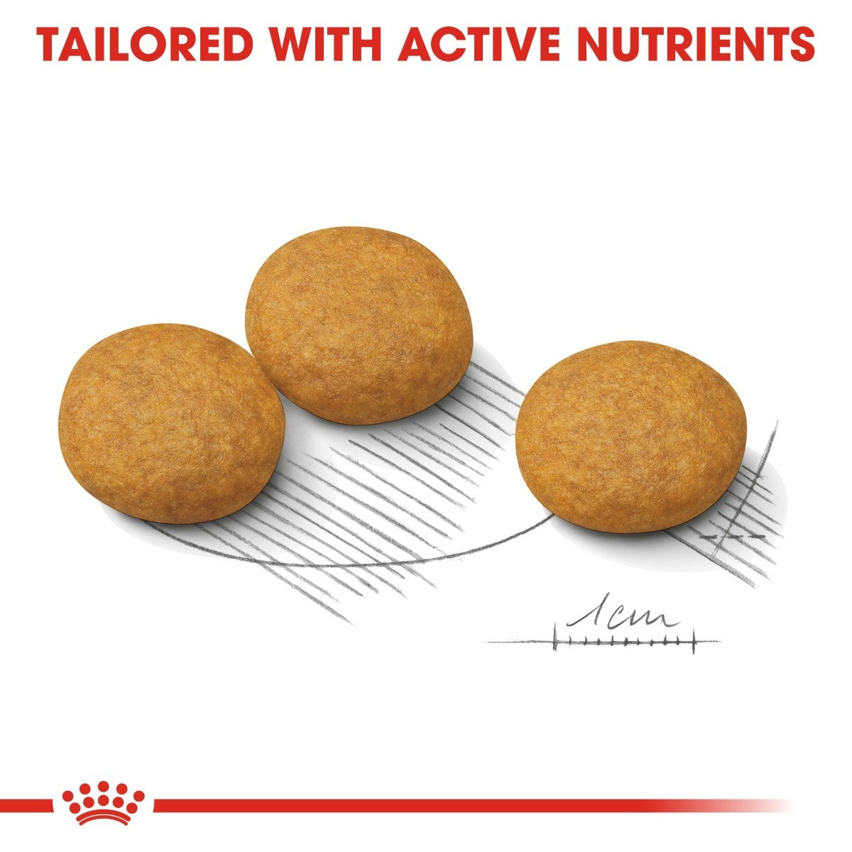 Royal Canin Medium Dermacomfort Dry Dog Food - Targa Pet Shop