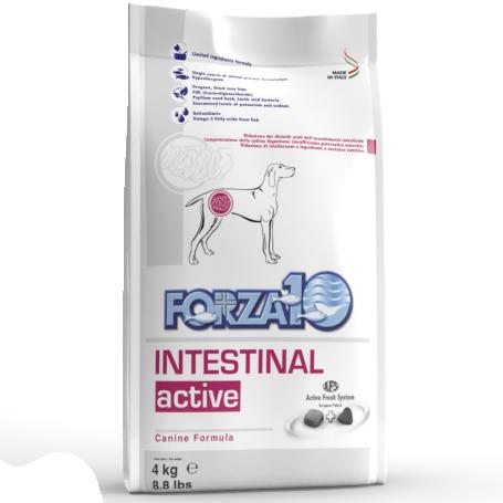 Forza 10 Intestinal Active.