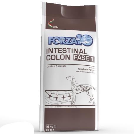 Forza 10 Intestinal Colon Phase One.
