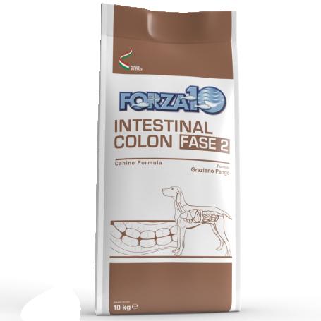 Forza 10 Intestinal Colon Phase Two.