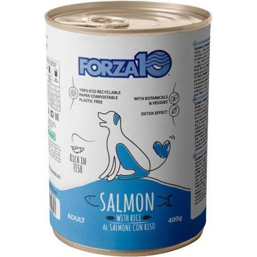 Forza 10 Maintenance with Salmon with Rice.