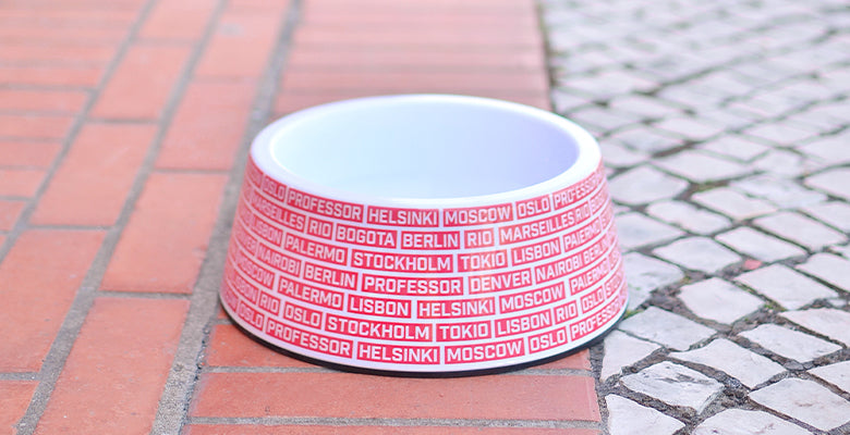 Dashi La Casa De Papel Gang Bowl