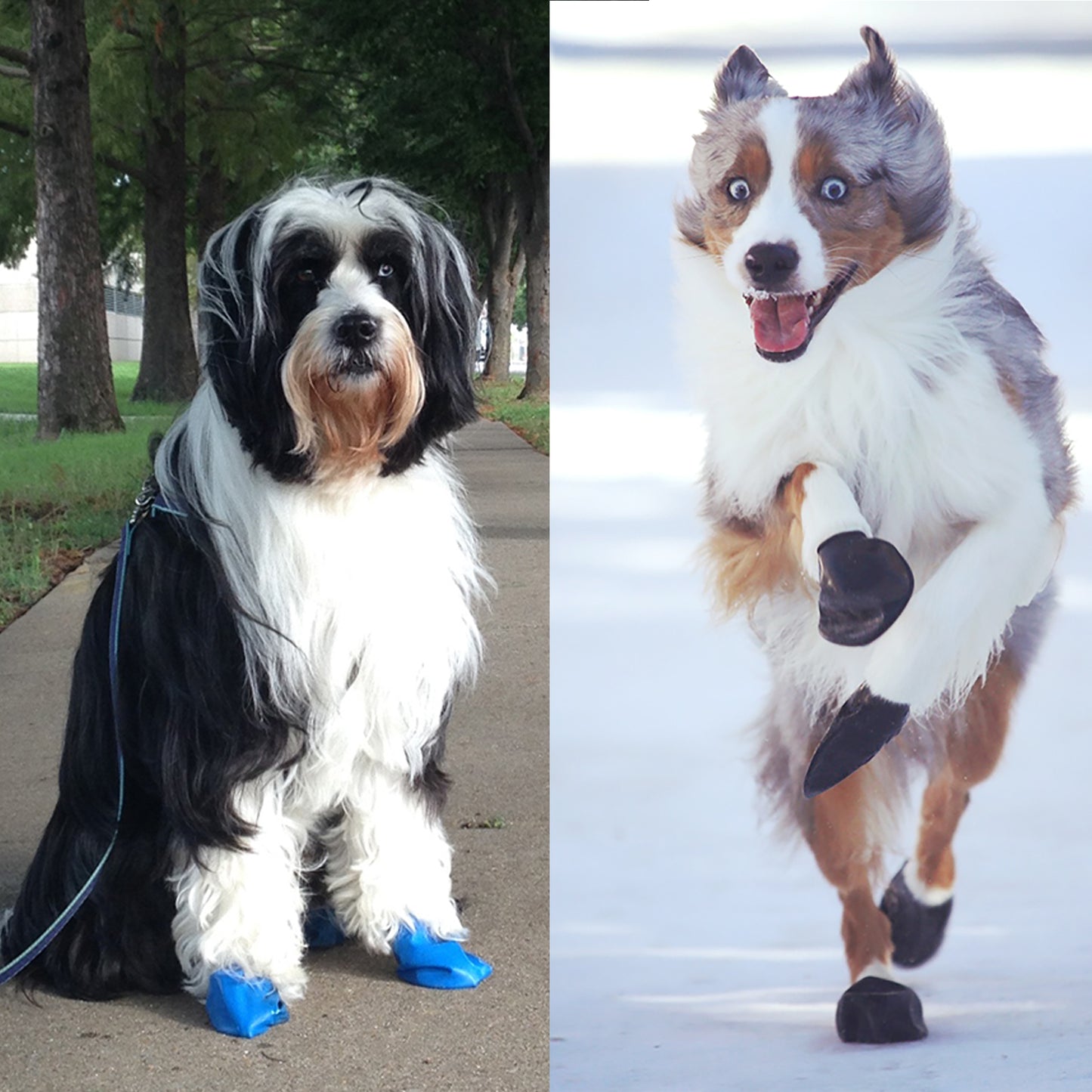 PAWZ Medium Size Rubber Boots