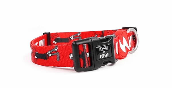 Dashi Olive Oyl Collar