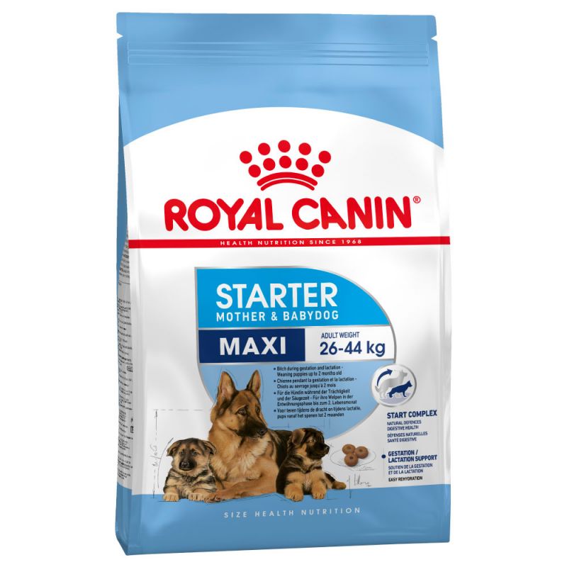 Royal Canin Maxi Starter Mother & Babydog Dry Food - Targa Pet Shop