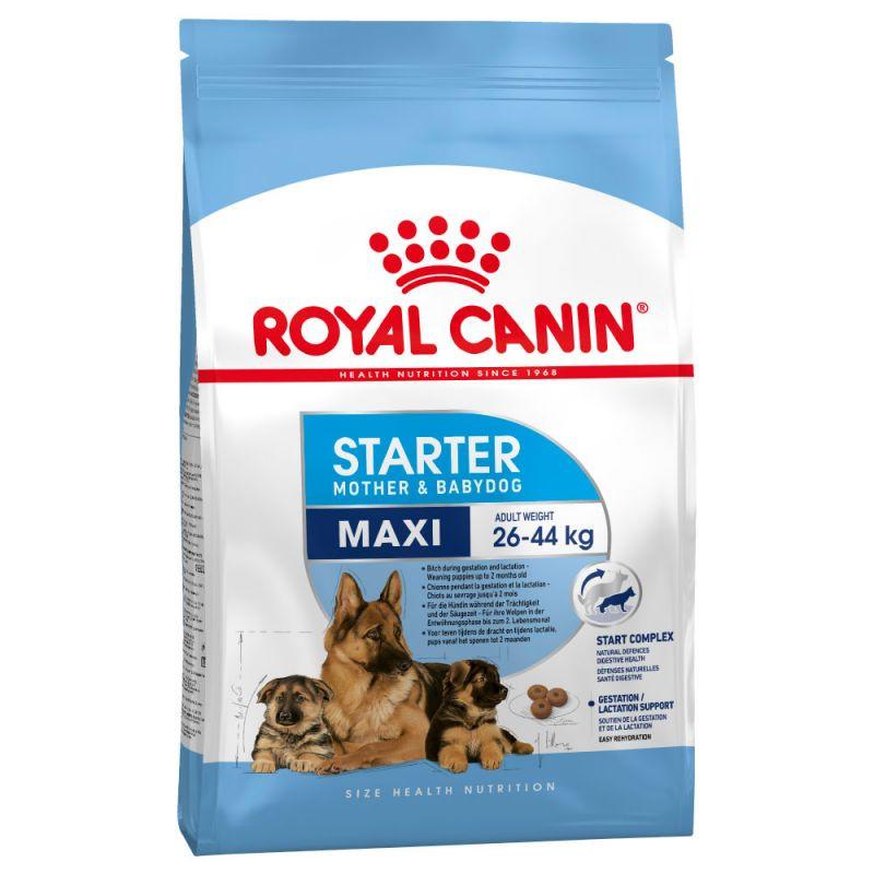 Royal Canin Maxi Starter Mother & Babydog Dry Food - Targa Pet Shop
