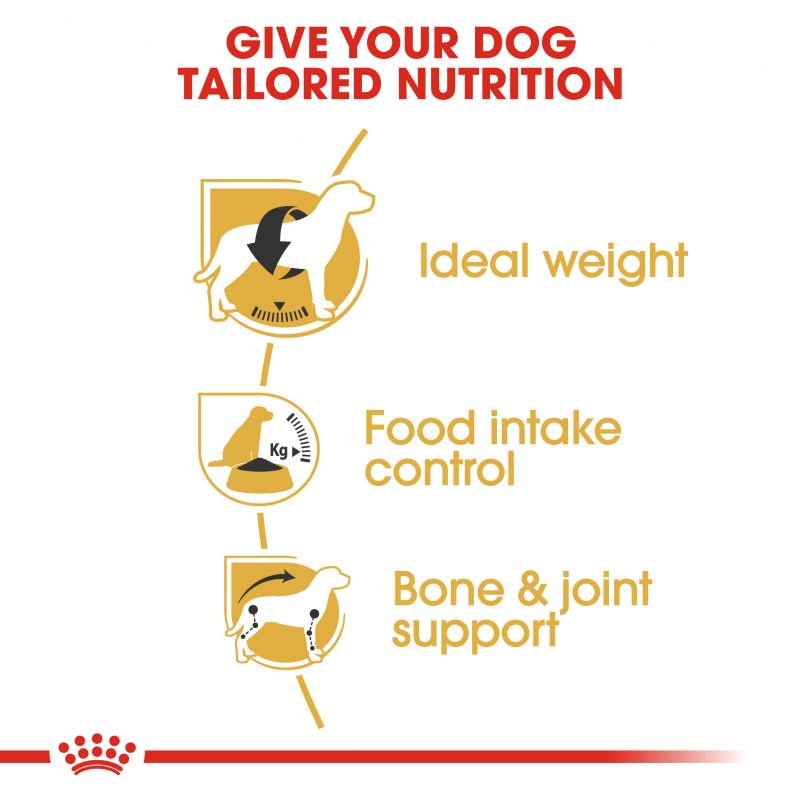Royal Canin Beagle Dry Adult Dog Food - Targa Pet Shop