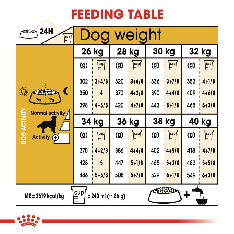 Royal Canin Golden Retriever Dry Adult Dog Food - Targa Pet Shop