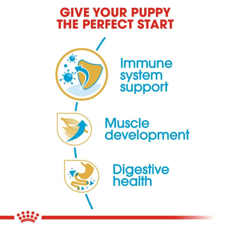 Royal Canin Boxer Puppy Dry Food - Targa Pet Shop