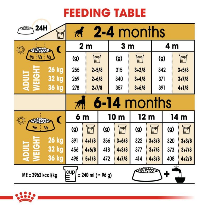 Royal Canin Boxer Puppy Dry Food - Targa Pet Shop