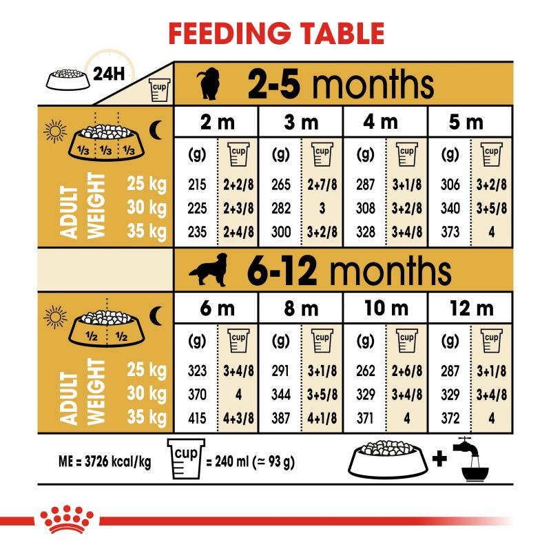 Royal Canin Golden Retriever Dry Puppy Food - Targa Pet Shop