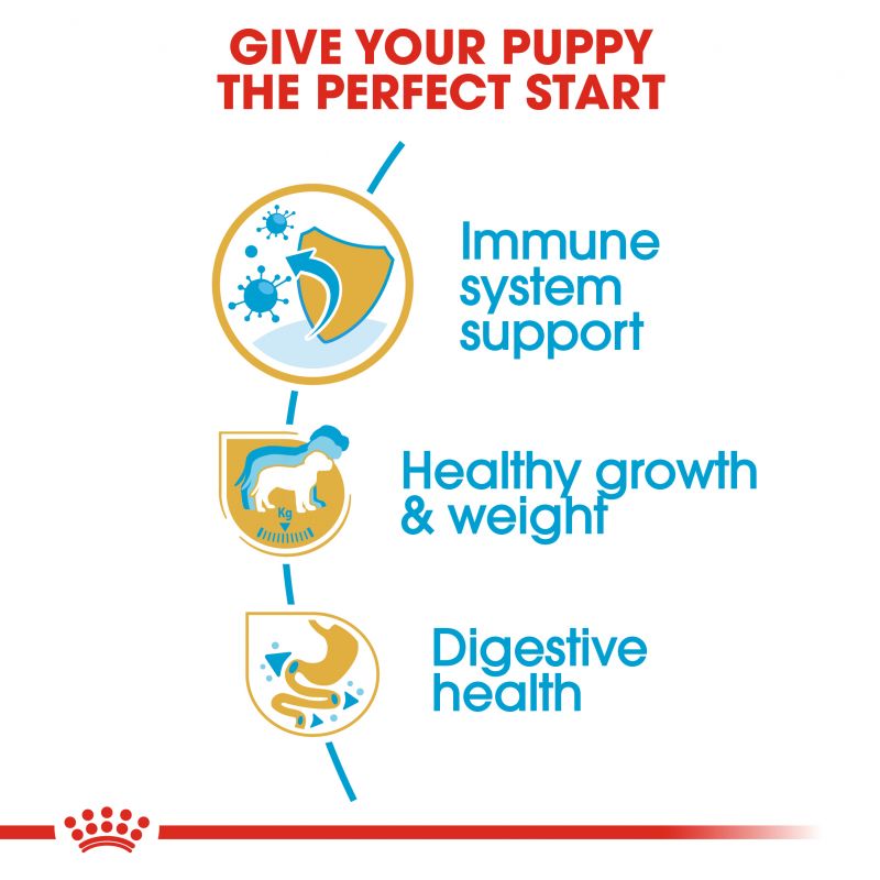 Royal Canin Labrador Retriever Dry Puppy Food - Targa Pet Shop