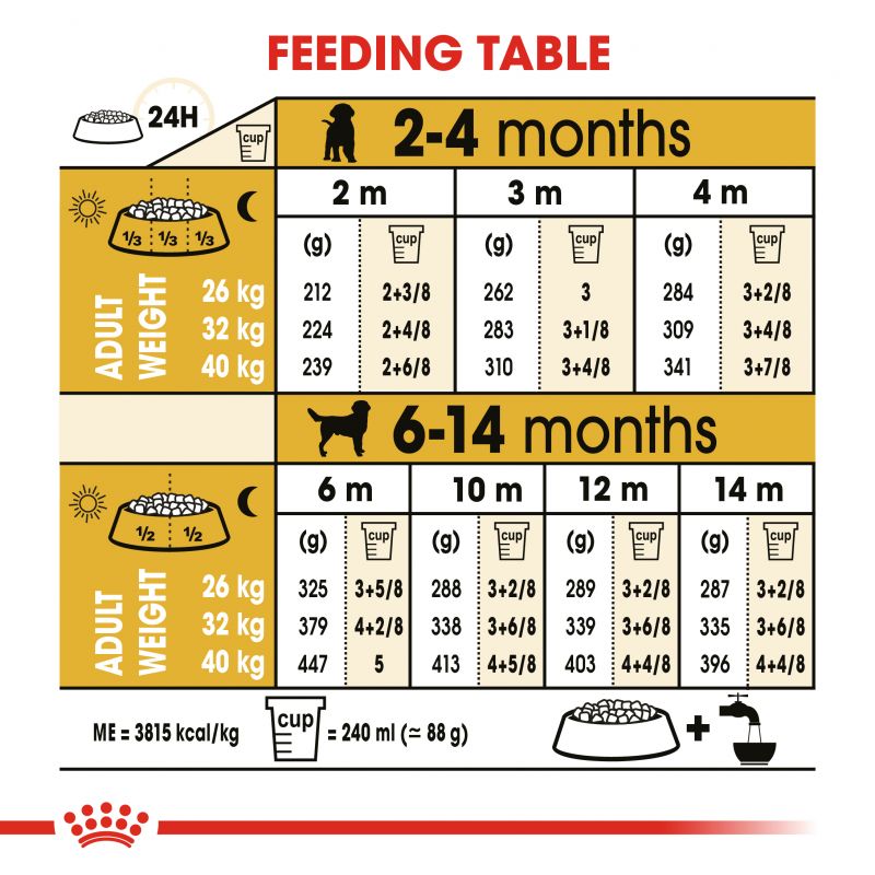 Royal Canin Labrador Retriever Dry Puppy Food - Targa Pet Shop