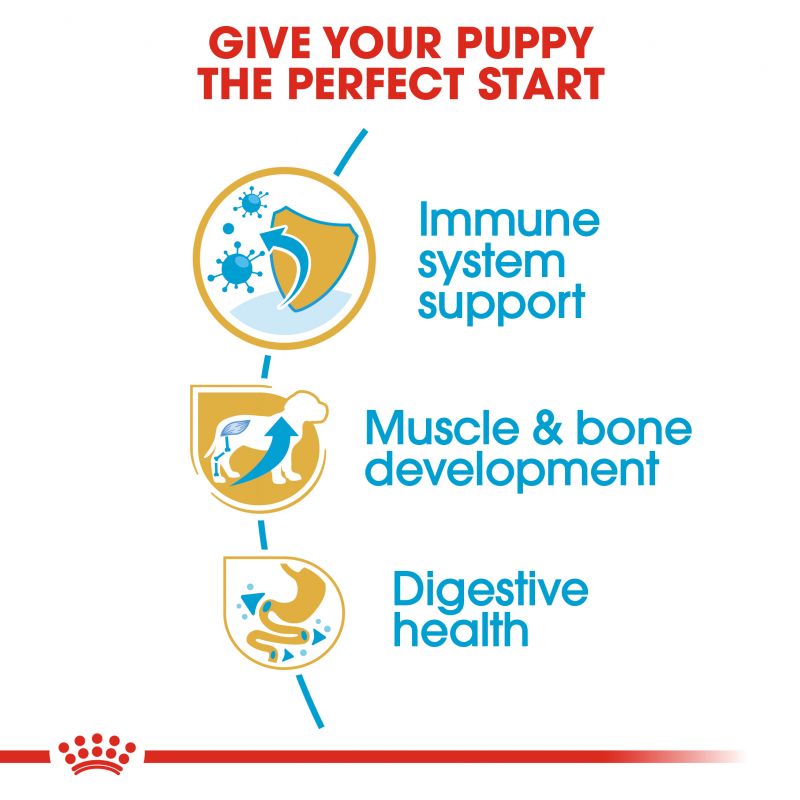 Royal Canin Rottweiler Puppy Dry Food - Targa Pet Shop
