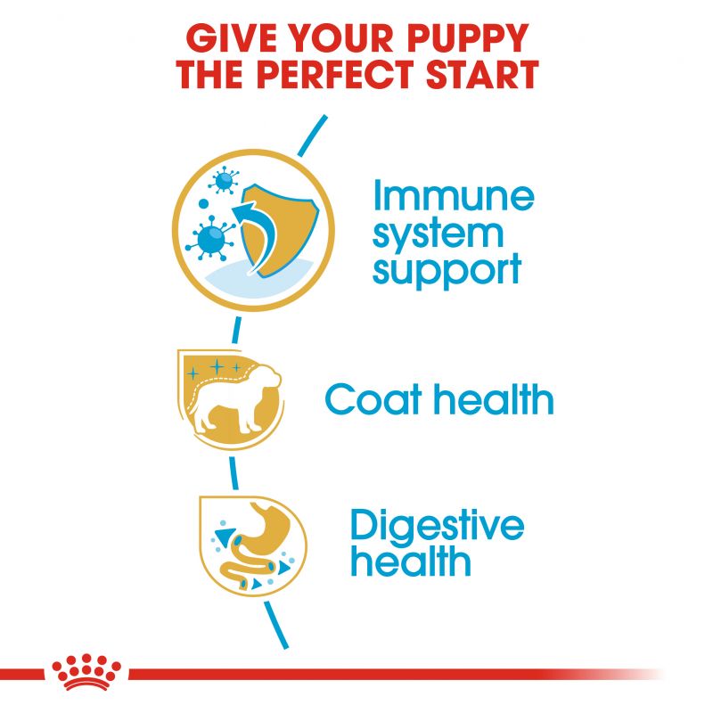 Royal Canine Yorkshire Terrier Puppy Dry Dog Food - Targa Pet Shop