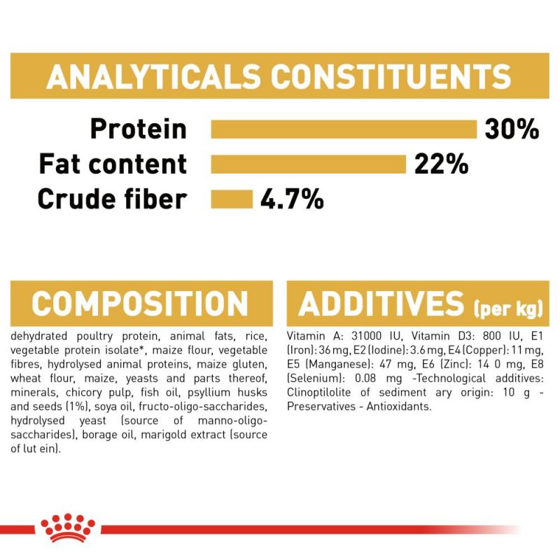 Royal Canin Persian Adult Cat Food - Targa Pet Shop