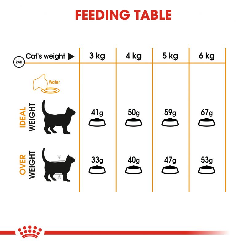 Royal Canin Hair & Skin Care Adult Cat Food - Targa Pet Shop