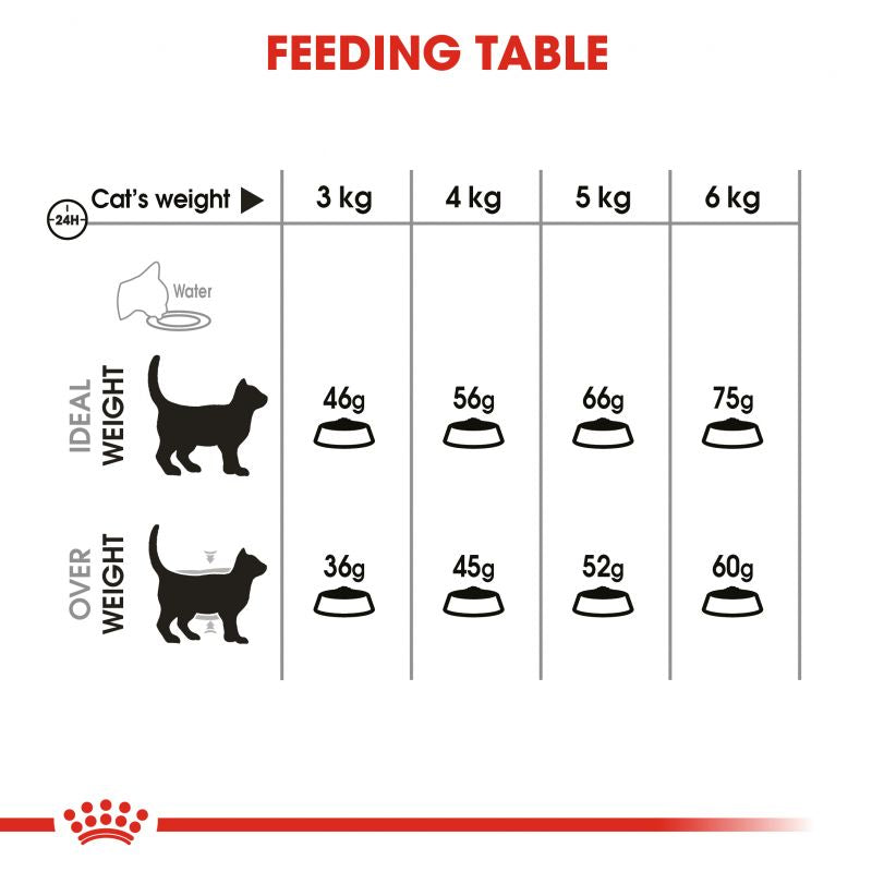 Royal Canin Oral Care Adult Cat Food - Targa Pet Shop