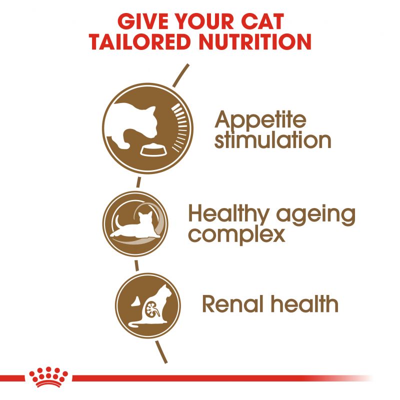 Royal Canin Ageing 12+ Senior Cat Food - Targa Pet Shop