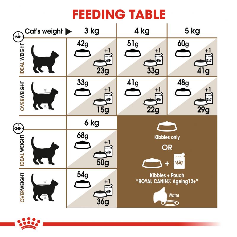 Royal Canin Ageing 12+ Senior Cat Food - Targa Pet Shop