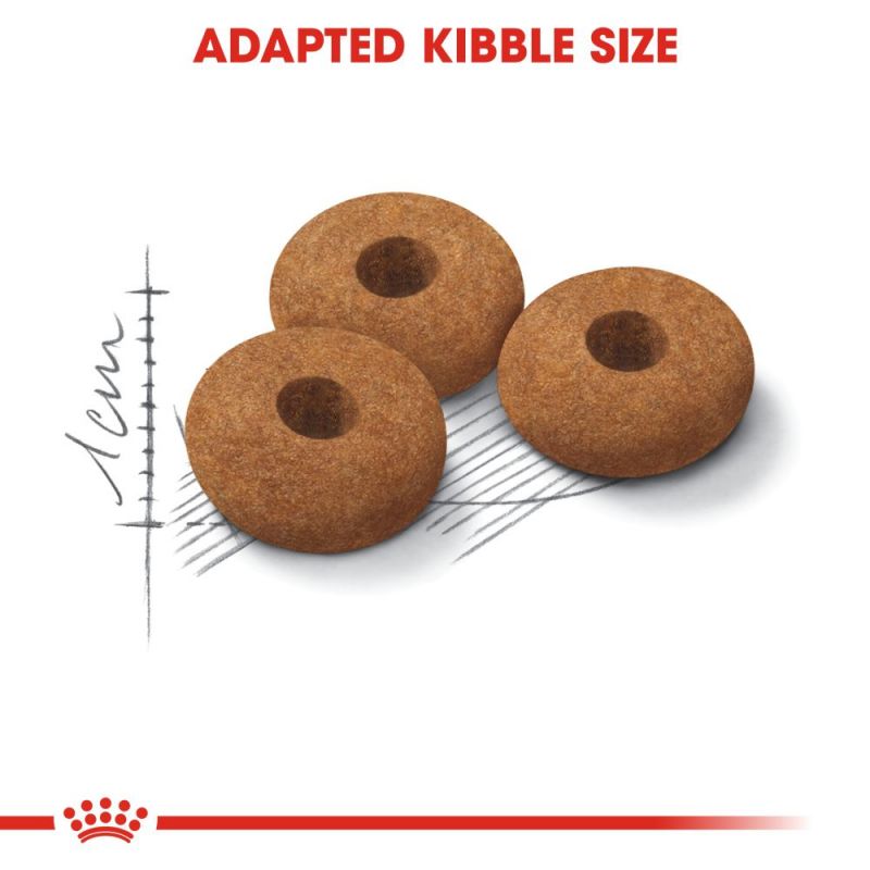 Royal Canin Regular Appetite Control Sterilised Adult Cat Food - Targa Pet Shop