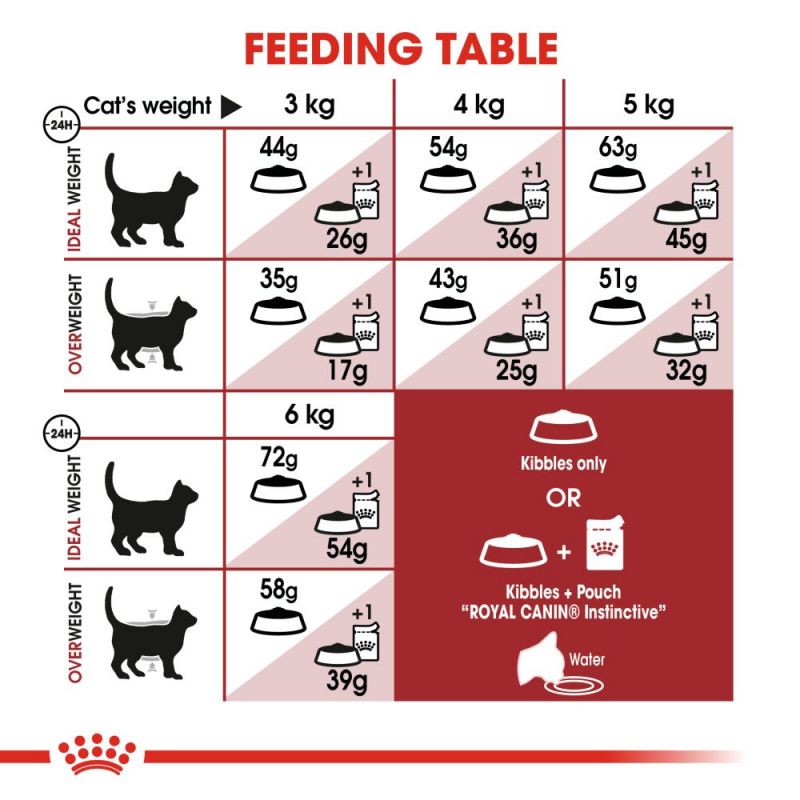 Royal Canin Regular Fit 32 Adult Cat Food - Targa Pet Shop