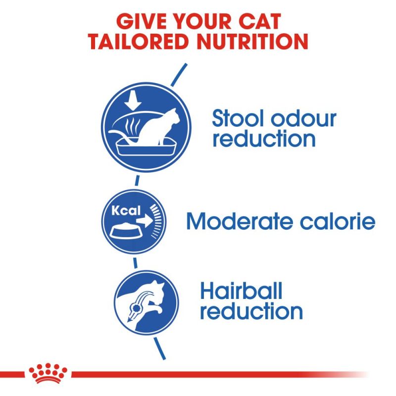 Royal Canin Home Life Indoor 27 Adult Cat Food - Targa Pet Shop