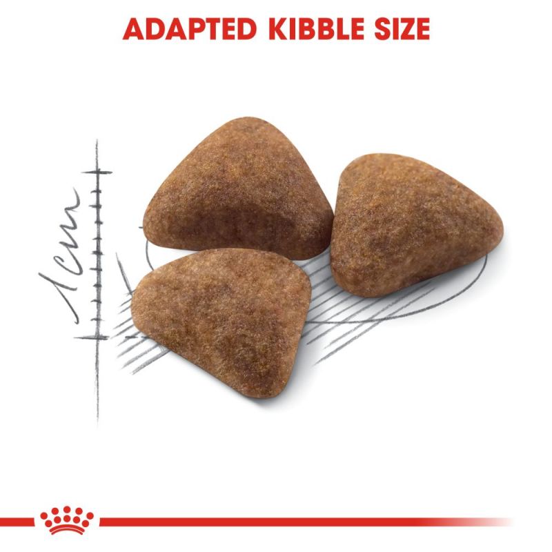 Royal Canin Home Life Indoor 27 Adult Cat Food - Targa Pet Shop