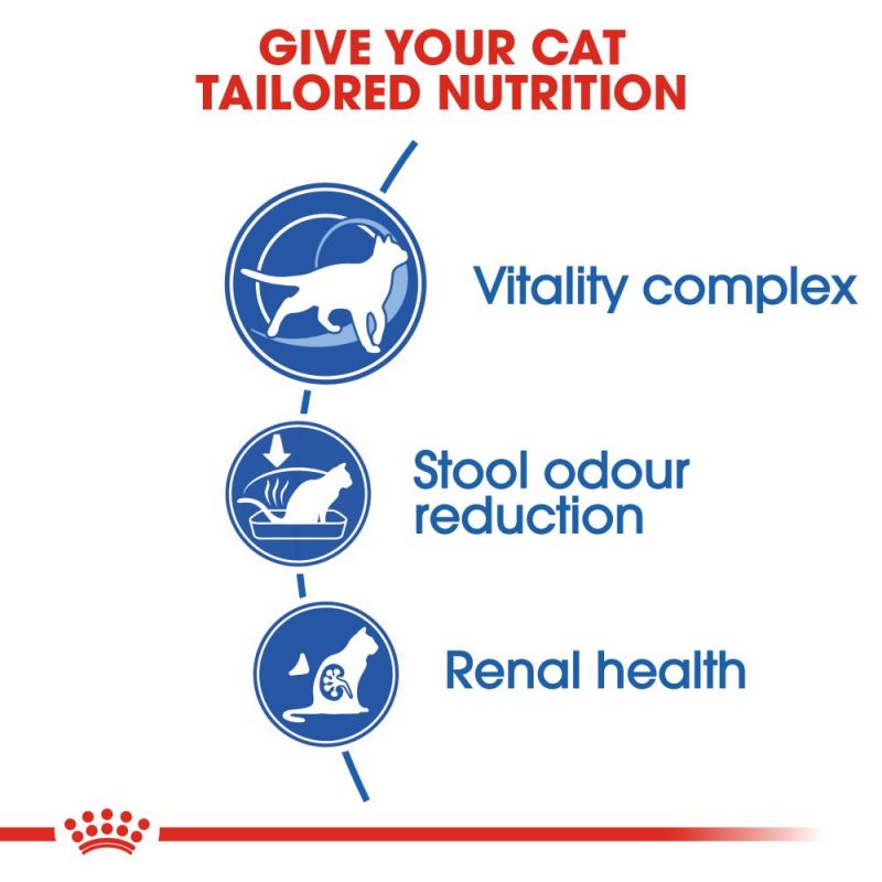 Royal Canin Home Life Indoor 7+ Senior Cat Food - Targa Pet Shop
