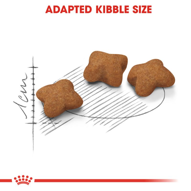 Royal Canin Kitten Sterilised Food - Targa Pet Shop