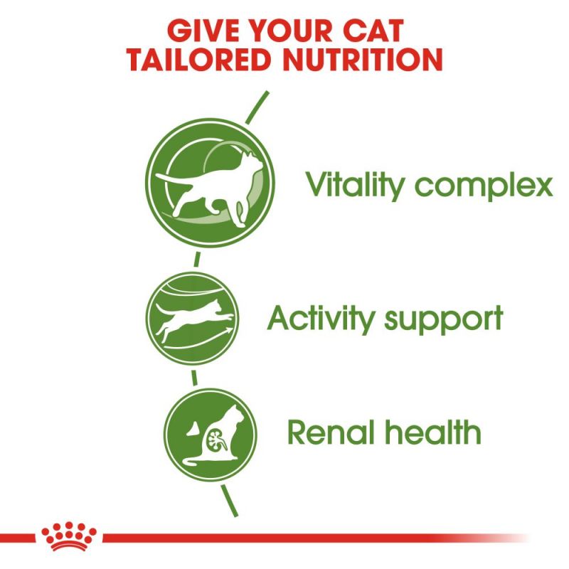 Royal Canin Active Life Outdoor 7+ Senior Cat Food - Targa Pet Shop